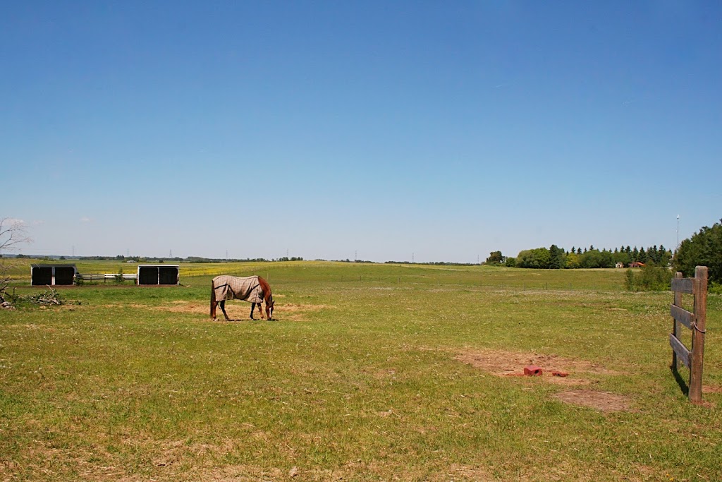 Speer Stables | Range Rd 231, Alberta T8L 5B6, Canada | Phone: (780) 850-2191