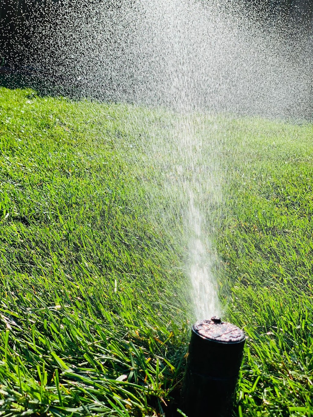 Green Zone Irrigation ltd | 331 King St E, Bolton, ON L7E 3J8, Canada | Phone: (647) 884-5808