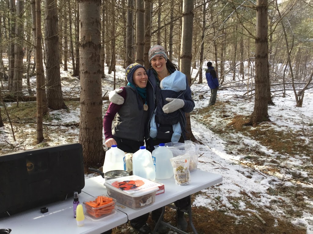 Treehouse Village Ecohousing | 54 Pearl St, Bridgewater, NS B4V 1W4, Canada | Phone: (902) 593-1256