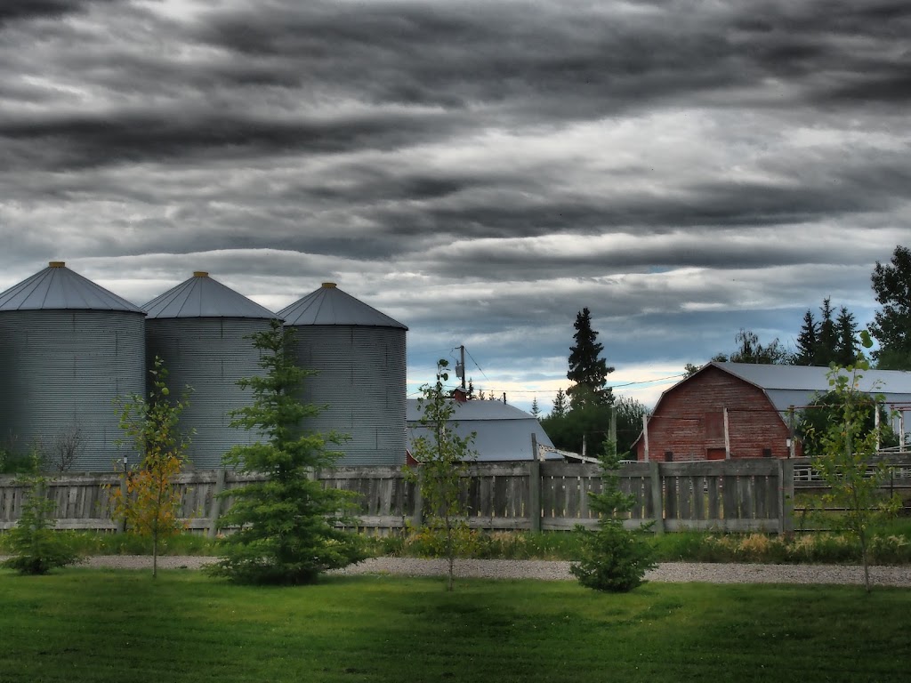 Willow Lane Barn, Olds | 33117, Range Rd 290, Bowden, AB T4H 1P2, Canada | Phone: (403) 556-7454