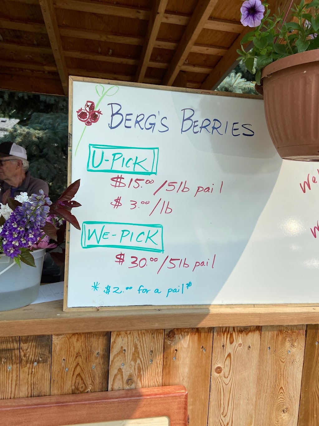 Bergs Berries | 93056, Range Rd 204, Coaldale, AB T1M 1N3, Canada | Phone: (403) 381-9073