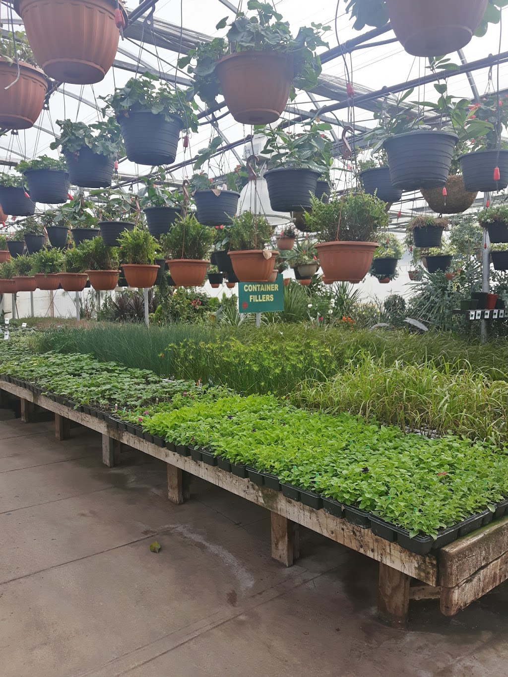 Listowel Greenhouses | 7877 Perth Road 164 R.R 2, Listowel, ON N4W 3G7, Canada | Phone: (519) 291-2434