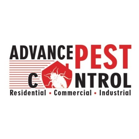 Pest Control Langley - Advance Pest | 19946 Brydon Crescent, Langley City, BC V3A 4A5, Canada | Phone: (604) 786-4161