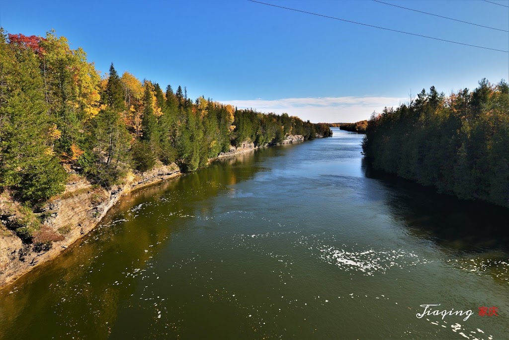 Ranney Gorge Suspension Bridge | Trent Dr, Campbellford, ON K0L 1L0, Canada | Phone: (705) 653-1551