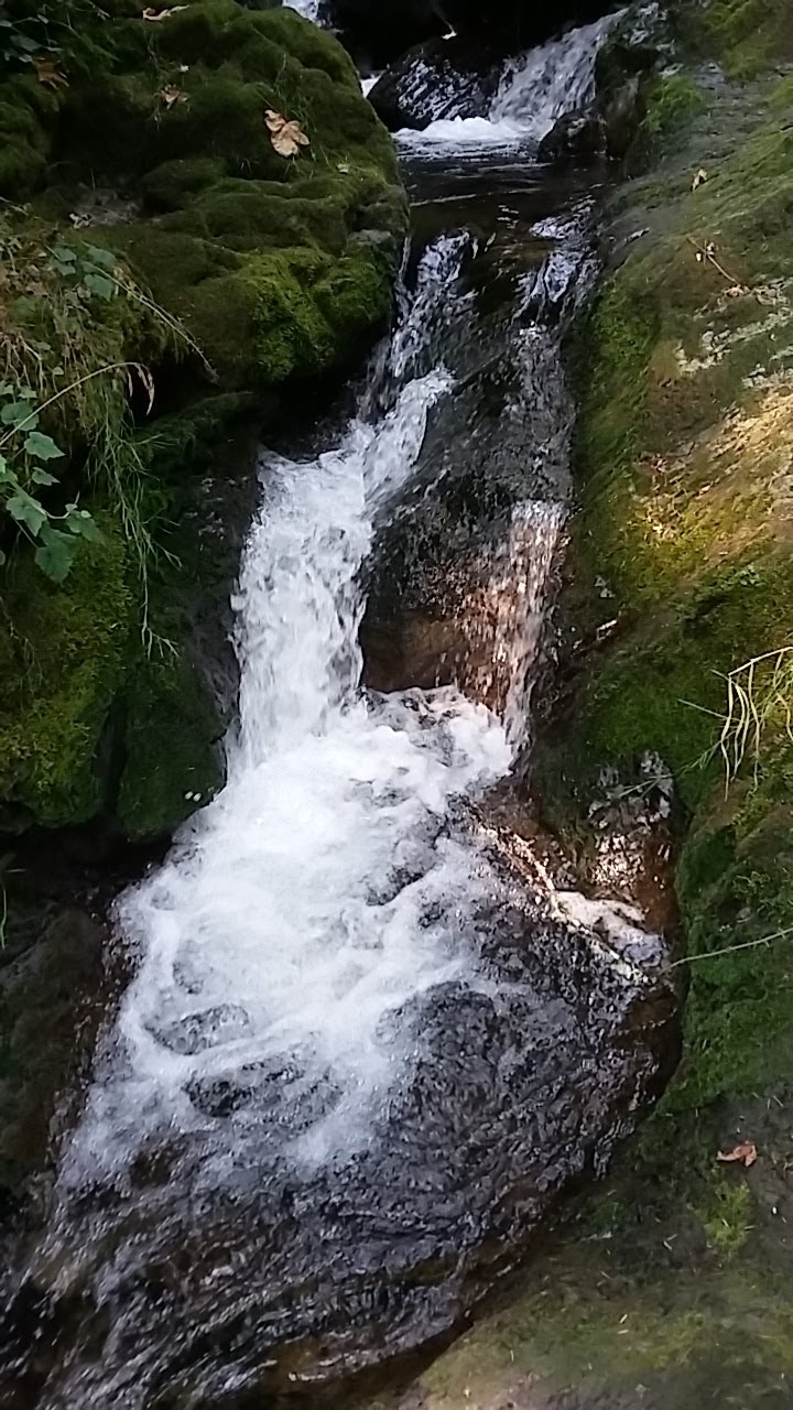 Maple Creek Park Maple Falls-Glacier Trail | 7836-7856 Silver Lake Rd, Maple Falls, WA 98266, USA | Phone: (360) 599-1518