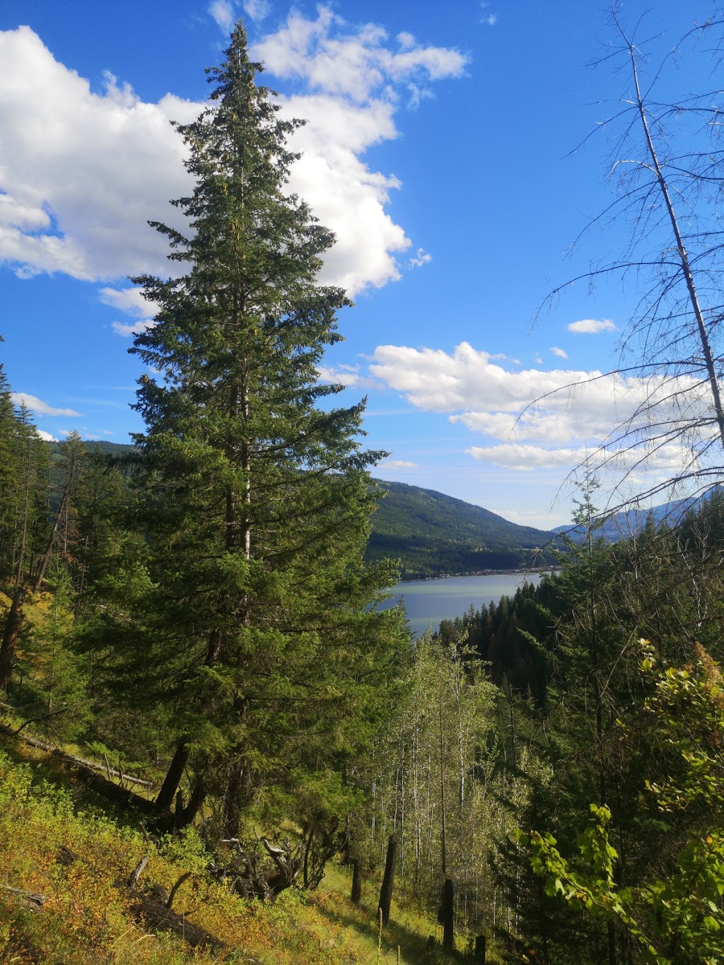 Herald Provincial Park | 4861 Sunnybrae-Canoe Point Rd, Tappen, BC V0E 2X1, Canada | Phone: (250) 320-9305