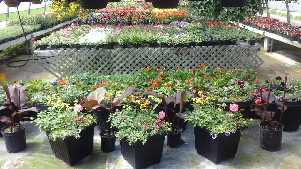 Centre Jardin Multi-fleurs | 2061 Chemin St Thomas, Sainte-Thècle, QC G0X 3G0, Canada | Phone: (418) 289-2121