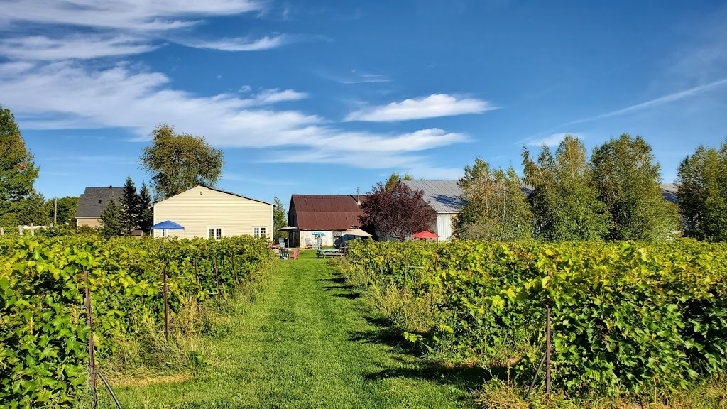 Vignoble La Grenouille | 434 Chemin Plouffe, Cowansville, QC J2K 3G6, Canada | Phone: (450) 578-6562