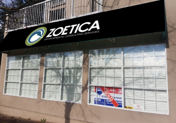 Zoetica Environmental Consulting Services | 22351 St Anne Ave #102, Maple Ridge, BC V2X 2E7, Canada | Phone: (604) 467-1111