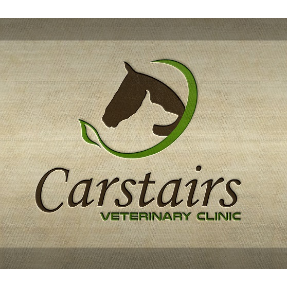 Carstairs Veterinary Clinic | 901B AB-2A, Carstairs, AB T0M 0N0, Canada | Phone: (403) 337-3221