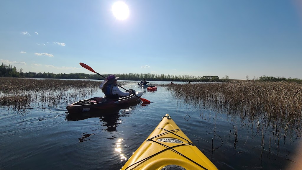 County Waters Kayaking | 5304 48 St, Clive, AB T0C 0Y0, Canada | Phone: (780) 605-3688