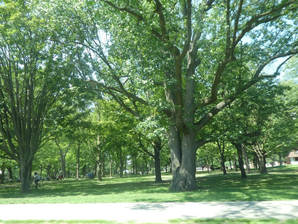 High Park Allotment Garden | High Park-Swansea, Toronto, ON M6R, Canada | Phone: 416-392-8188