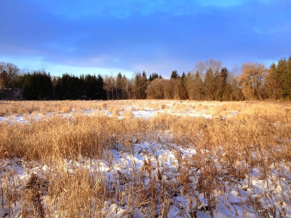 Rogers Reservoir Conservation Area | 2nd Concession Rd, East Gwillimbury, ON L3Y, Canada | Phone: (905) 895-1281