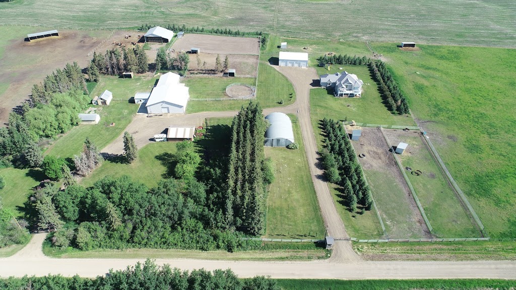 Dreams Horse Farm | 23424 Township Rd 500, Leduc County, AB T4X 0P8, Canada | Phone: (780) 554-7958