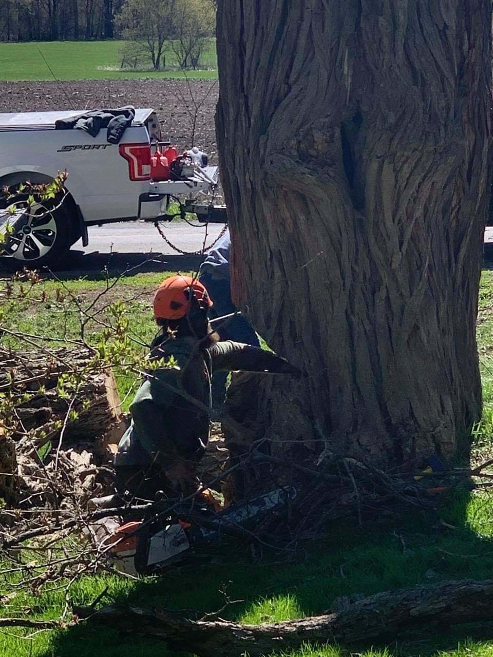 Tonys Tree Service | 4 S Wellington St, Frankford, ON K0K 2C0, Canada | Phone: (613) 661-8309