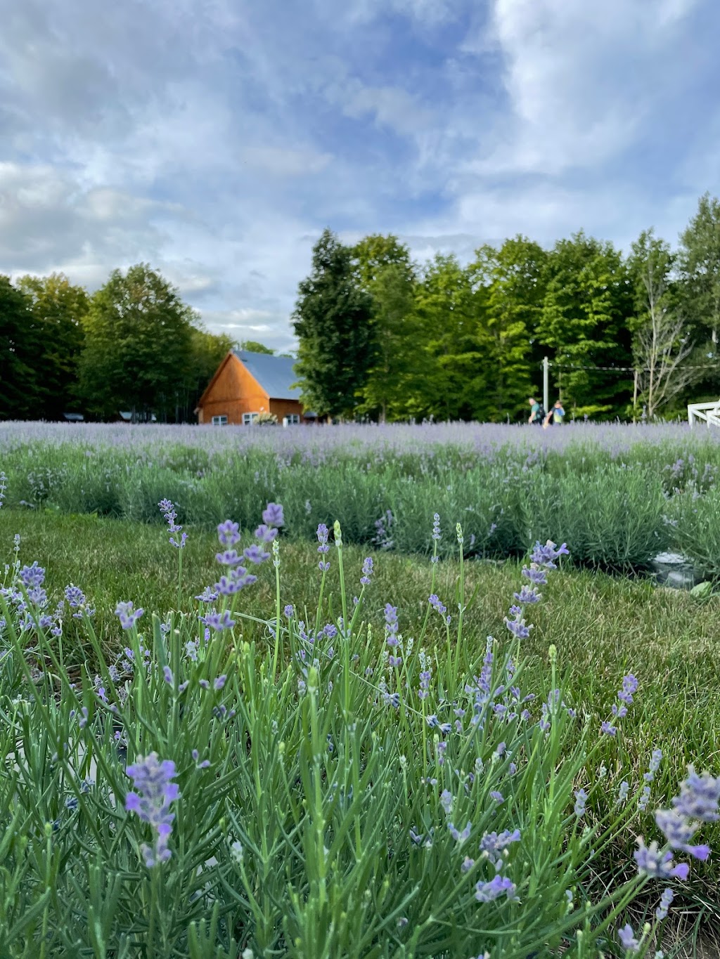 Les Jardins Arômes et Saveurs | 121 Rang du Pied de la Montagne, Sainte-Mélanie, QC J0K 3A0, Canada | Phone: (450) 898-6868