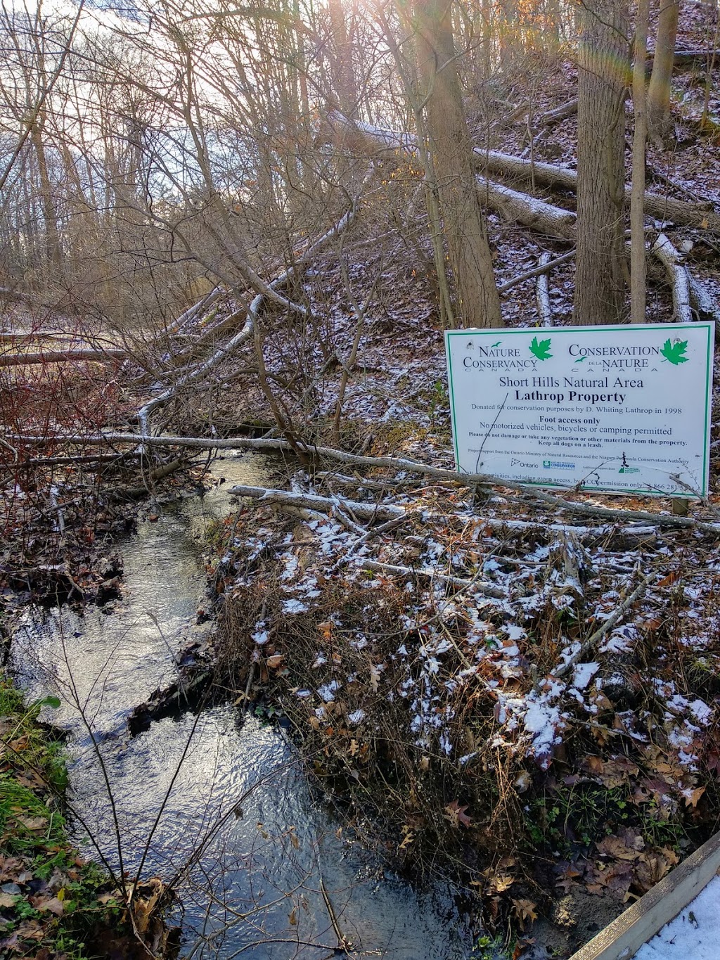 Lathrop Nature Preserve | Fonthill, Pelham, ON L0S 1E3, Canada