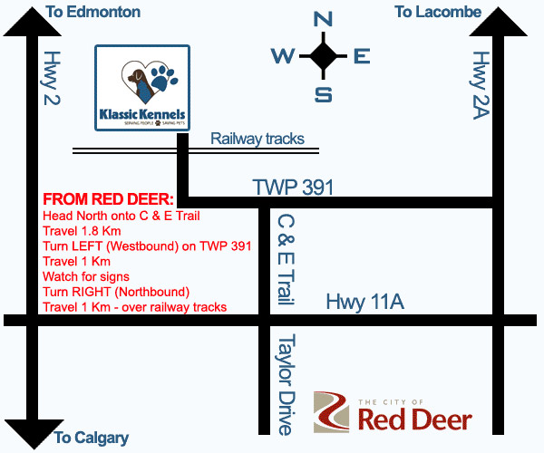 Grooming By Kate | Range Road & 1.8 km North of Hwy Suite A, Red Deer, AB T4N 5E1, Canada | Phone: (587) 876-4028