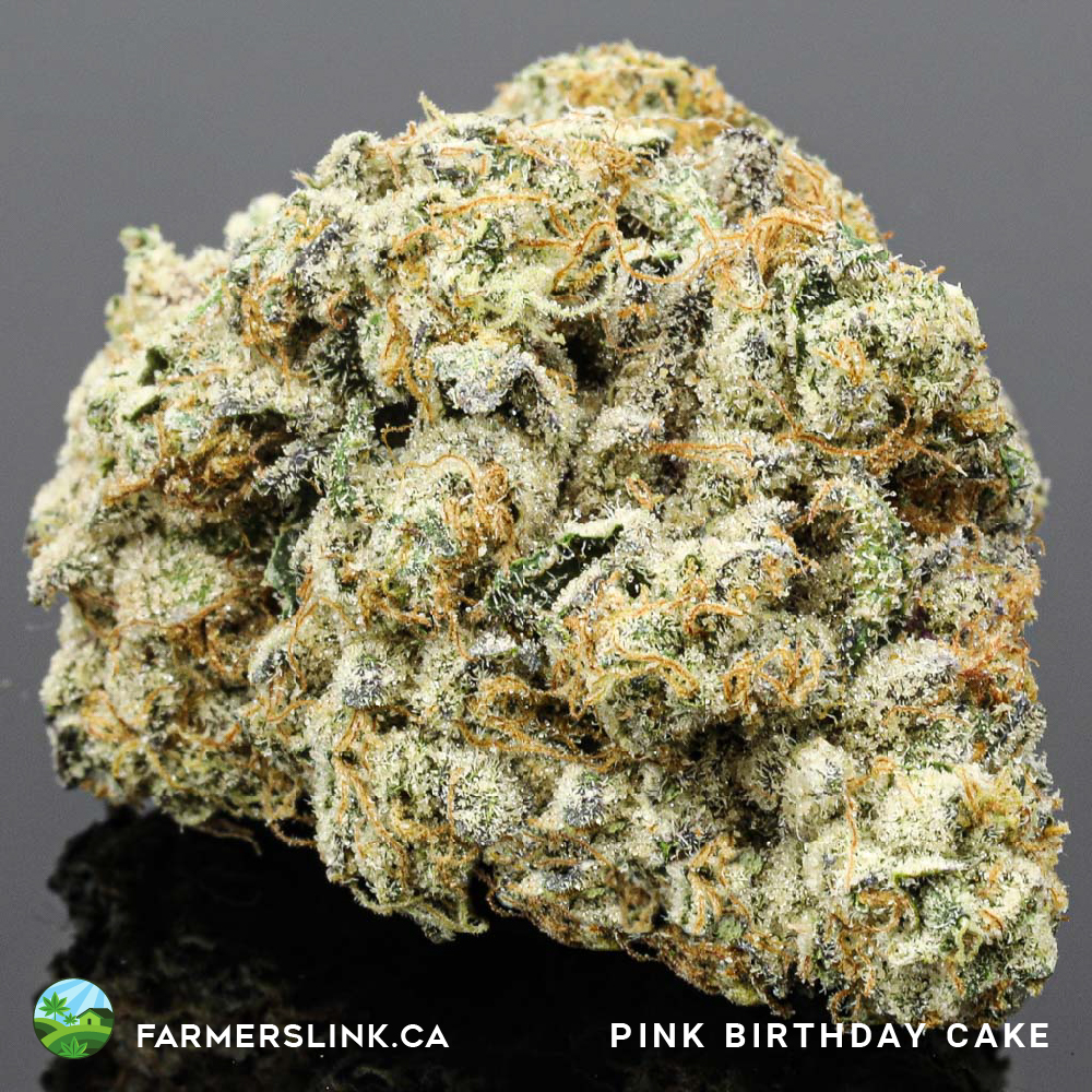 Farmers Link | Toronto West Dispensary | 463 Vaughan Rd, York, ON M6C 2P3, Canada | Phone: (647) 868-8888