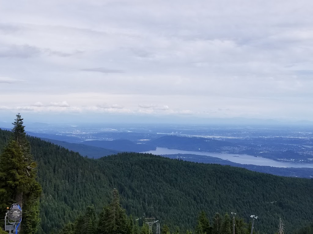 Grouse Mountain Regional Park | 6400 Nancy Greene Way, North Vancouver, BC V7R 4K9, Canada | Phone: (604) 224-5739