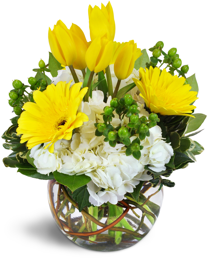 Jennifers Flowers & Gifts | 2943 Major MacKenzie Dr W #6, Maple, ON L6A 3N9, Canada | Phone: (905) 417-9866