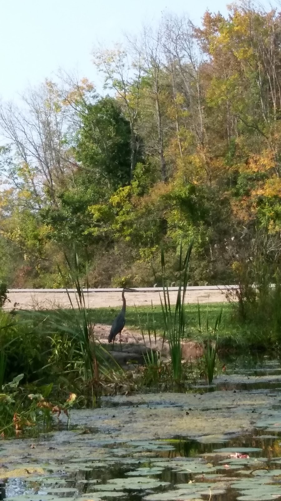 Woods Creek Kayak Launch | Grand Island, NY 14072, USA