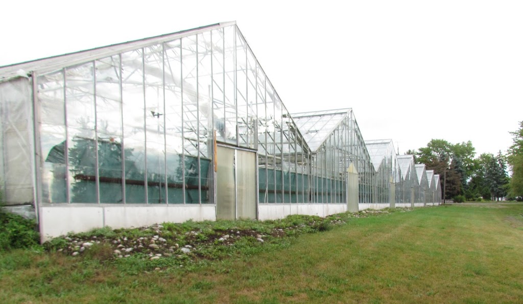 Prince Greenhouses | 687003 Oxford 2, Princeton, ON N0J 1V0, Canada | Phone: (226) 802-4519