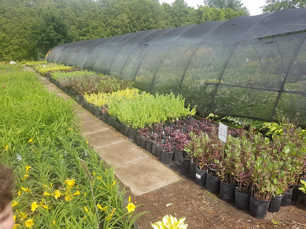 Nanticoke Nurseries & Garden Centre | 1461 Windham Centre Rd, Windham Centre, ON N0E 2A0, Canada | Phone: (519) 443-5605