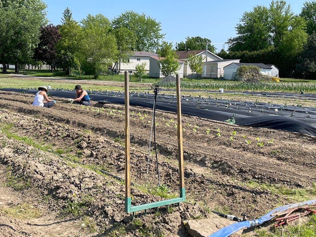 La ferme SADRILOU | 390 Chem. de la Côte S, Boisbriand, QC J7E 4H5, Canada | Phone: (514) 996-1397