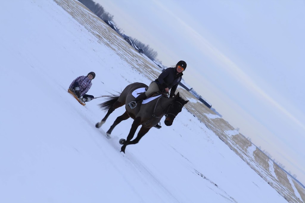 ScotianBay Equine Services | 51°1104.1"N, 113°5318.2"W, Rocky View County, AB T0M 0T0, Canada | Phone: (587) 832-0148