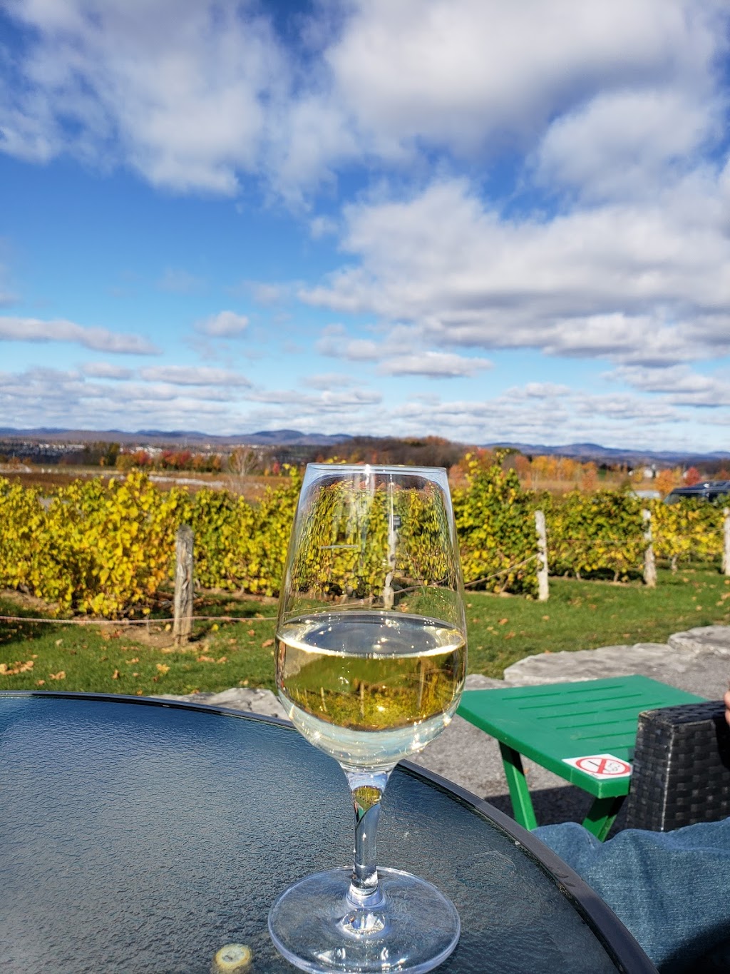 Vignoble Ste-Pétronille - Winery & Cidery | 8705 Chem. Royal, Sainte-Pétronille, QC G0A 4C0, Canada | Phone: (418) 828-9554