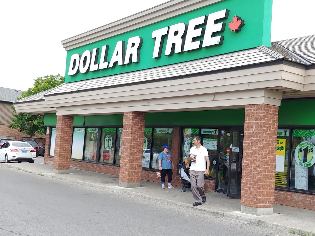 Dollar Tree | 320 Main St N Unit #1, Brampton, ON L6V 4A3, Canada | Phone: (905) 456-9449