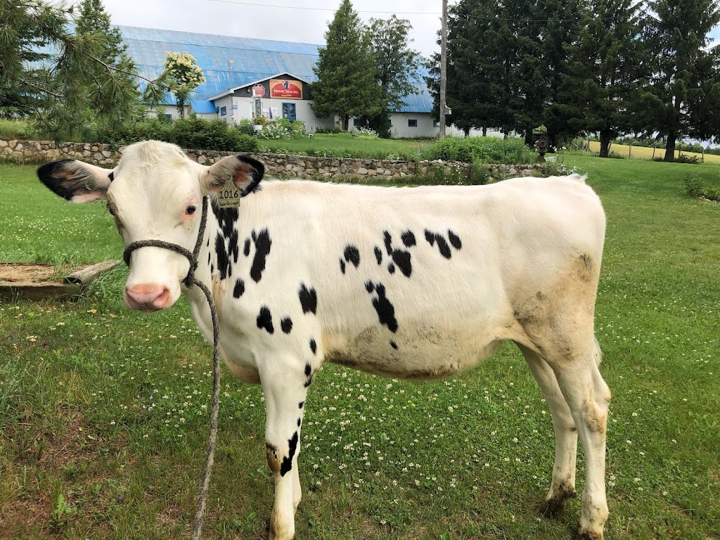 Ferme Séva inc. | 44 Rang Ste Marie, Les Éboulements, QC G0A 2M0, Canada | Phone: (418) 633-0266