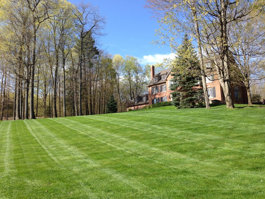 Lawnscape Property Maintenance | Durham Regional Rd 8, Uxbridge, ON L9P 1R1, Canada | Phone: (905) 852-4378