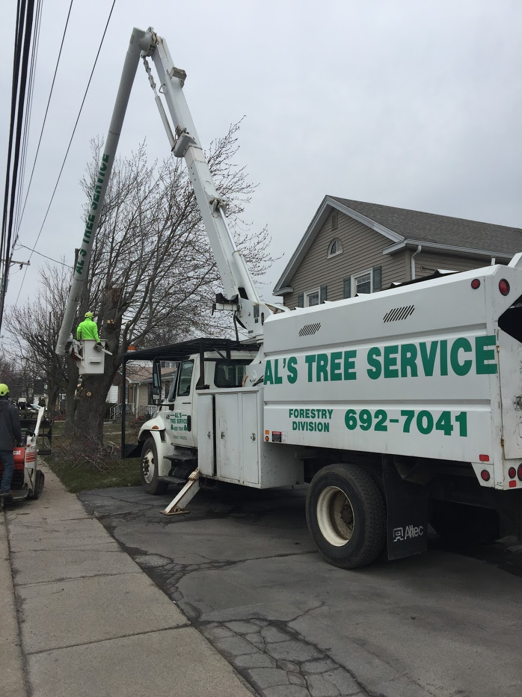 Als Tree Service | 650 Two Mile Creek Rd, Tonawanda, NY 14150, USA | Phone: (716) 692-7041