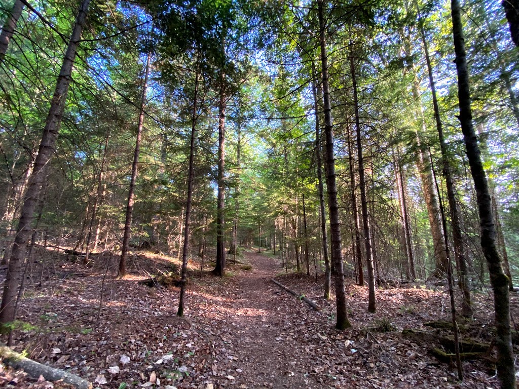 Centre DAcces A La Nature | 2424 Chemin du Lac Quenouille, Lac-Supérieur, QC J0T 1P0, Canada | Phone: (819) 688-3212