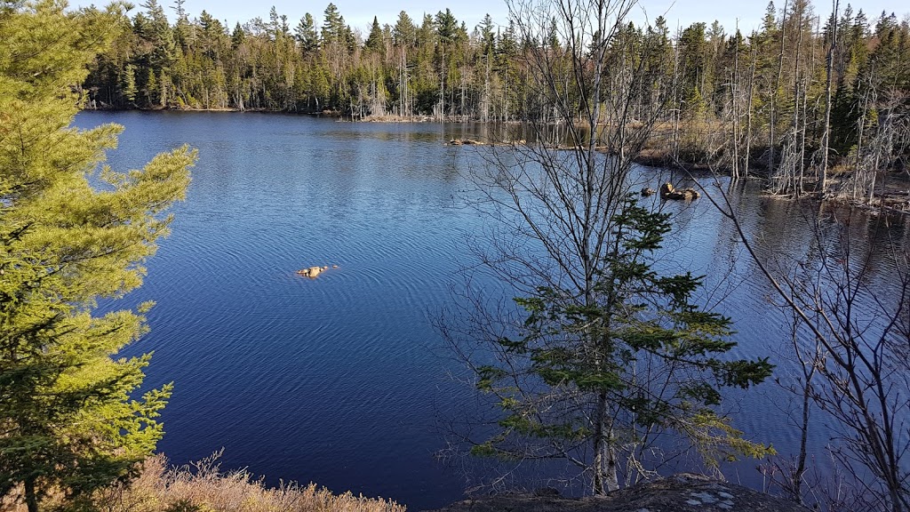 Serpentine-de-Coleraine Ecological Reserve | Saint-Joseph-de-Coleraine, QC G0N 1B0, Canada | Phone: (418) 423-3351