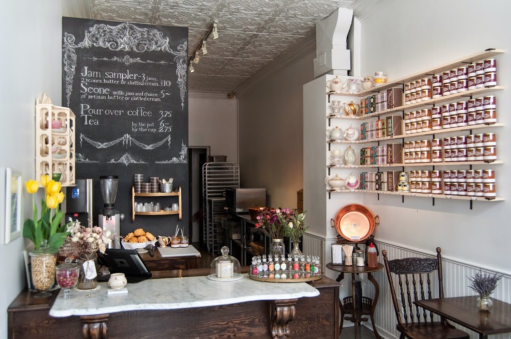 Kitten and the Bear | 1414 Dundas St W, Toronto, ON M6J 1Y5, Canada | Phone: (647) 926-9711