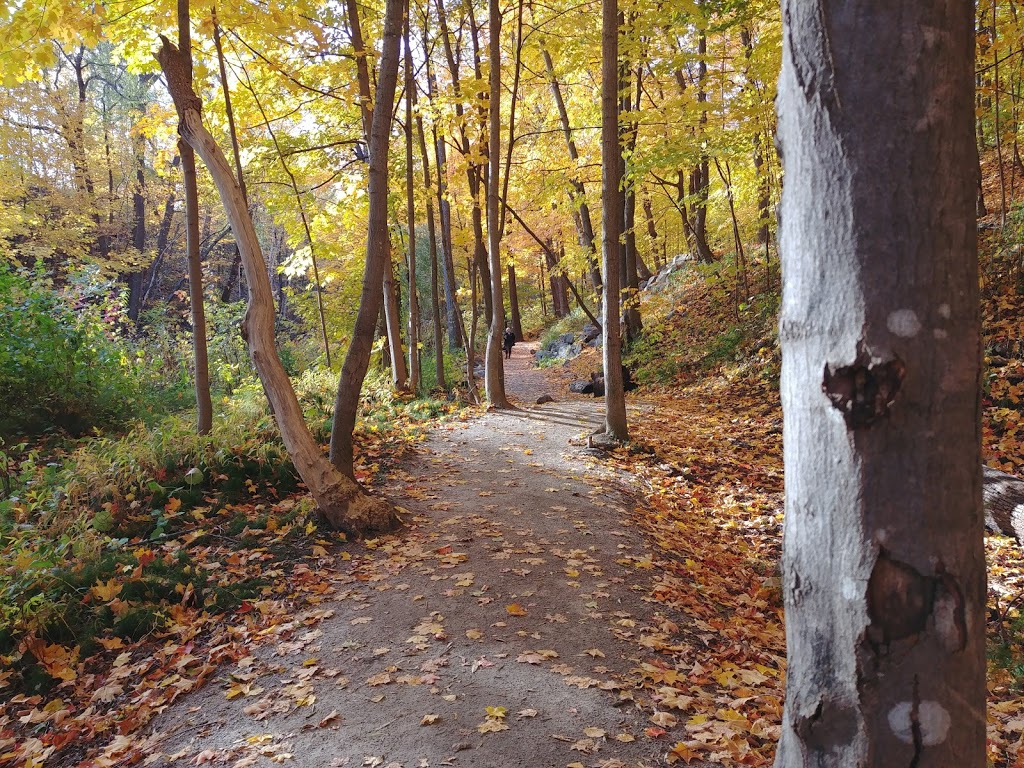 Parc de la Rivière Beauport Sud | Unnamed Road, Québec, QC G1E 4S8, Canada