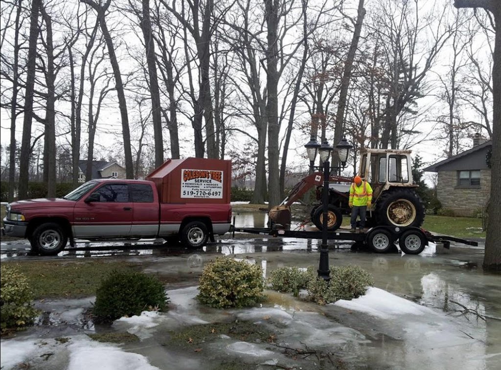 Colesons Tree Service | 423 Woodley Rd, Waterford, ON N0E 1Y0, Canada | Phone: (519) 770-6497