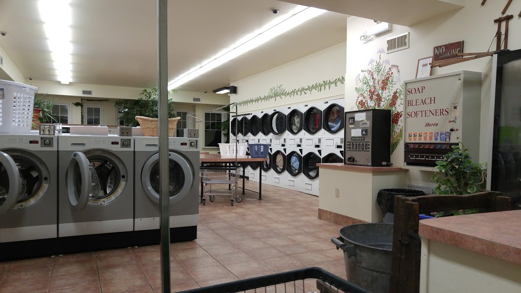 The Laundry Basket | 468 Ridge Rd N, Ridgeway, ON L0S 1N0, Canada | Phone: (905) 328-1206