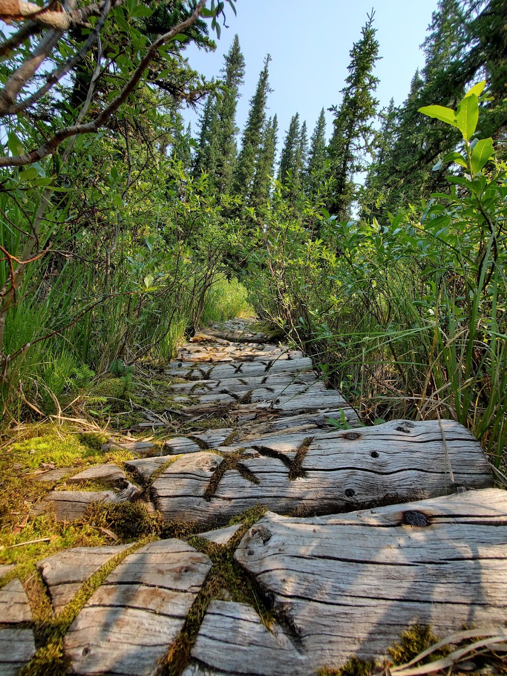 Peppers Lake Provincial Recreation Area | Peppers Lake Rd, Alberta T0M, Canada | Phone: (403) 845-8349