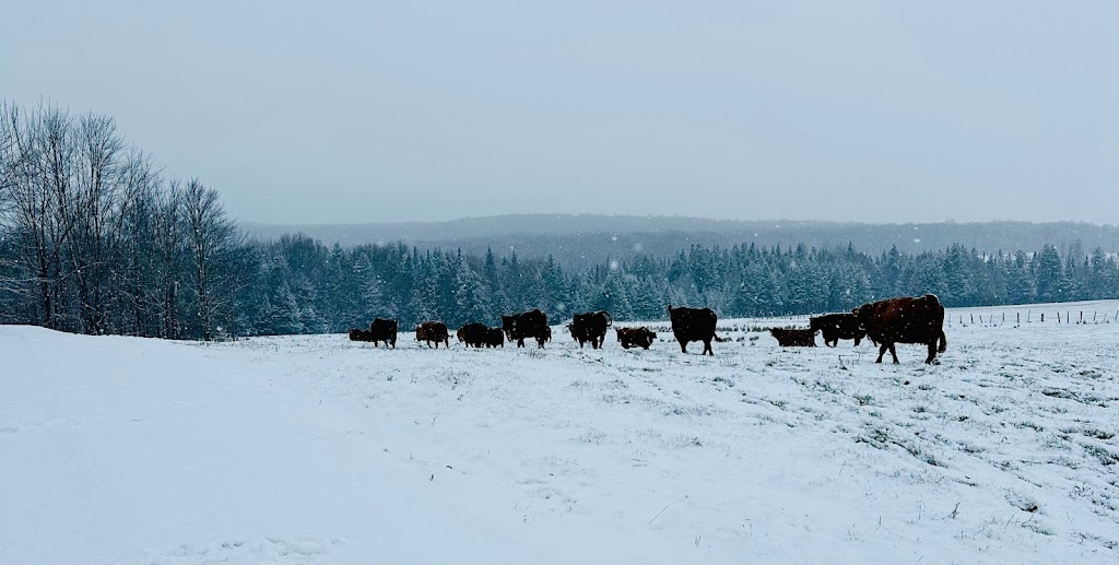 FERME ROGER FORTIER ET FILS | 827 Chem. Gosford, Saint-Pierre-Baptiste, QC G0P 1K0, Canada | Phone: (418) 332-0466