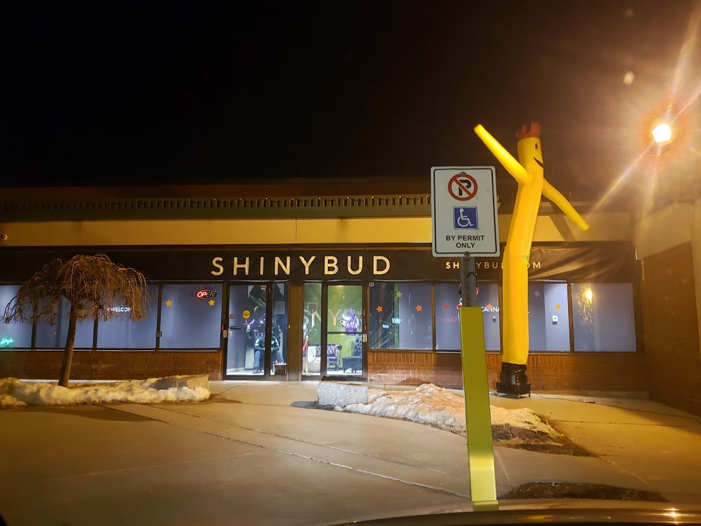 Shiny Bud | 2625C Weston Rd #27, North York, ON M9N 3V9, Canada | Phone: (416) 901-7692