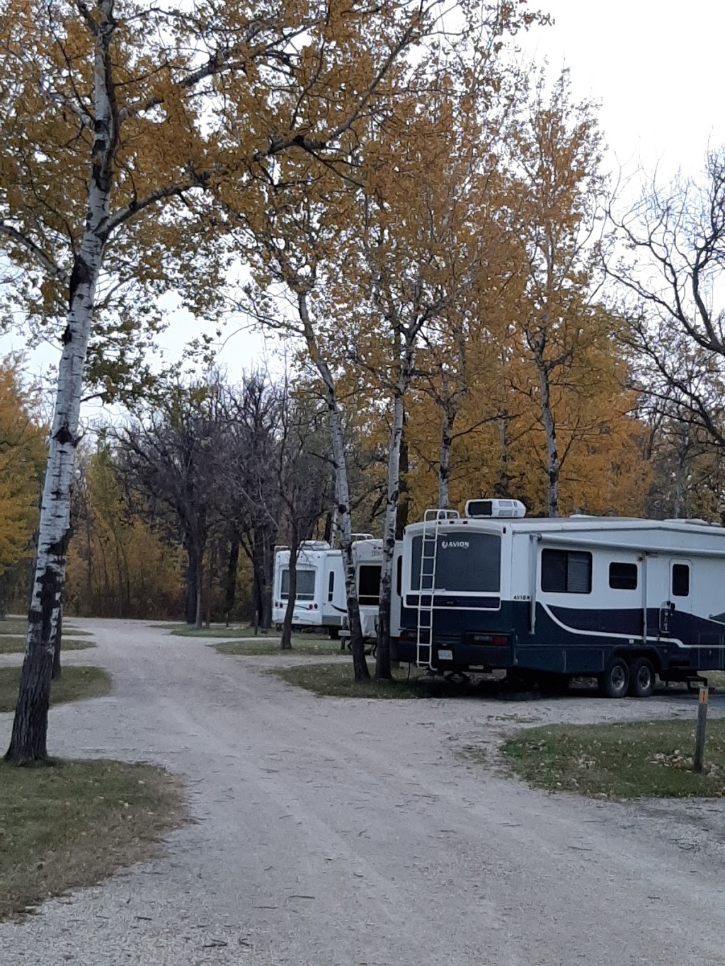 Prairie Oak Campground, MB | 405 Manchester Ave, Emerson, MB R0A 0L0, Canada | Phone: (204) 304-1445