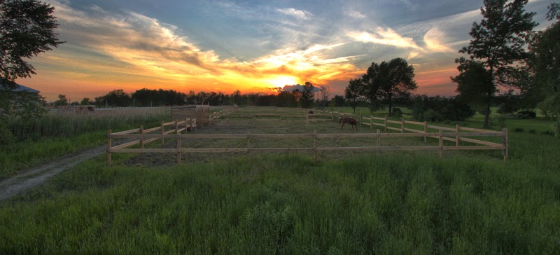 Manège Du Centaure Equestrian Center And School Déquitation | 210 Chemin du Grand-Pré, Saint-Jean-sur-Richelieu, QC J2Y 1J5, Canada | Phone: (450) 358-5559