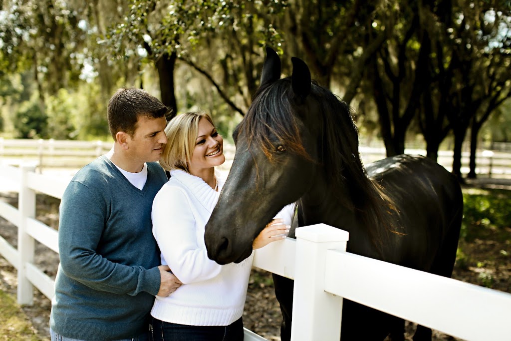 Horse Therapy Centre of Canada | 246 Webb Rd, Whitchurch-Stouffville, ON L4A 7X4, Canada | Phone: (647) 390-5397