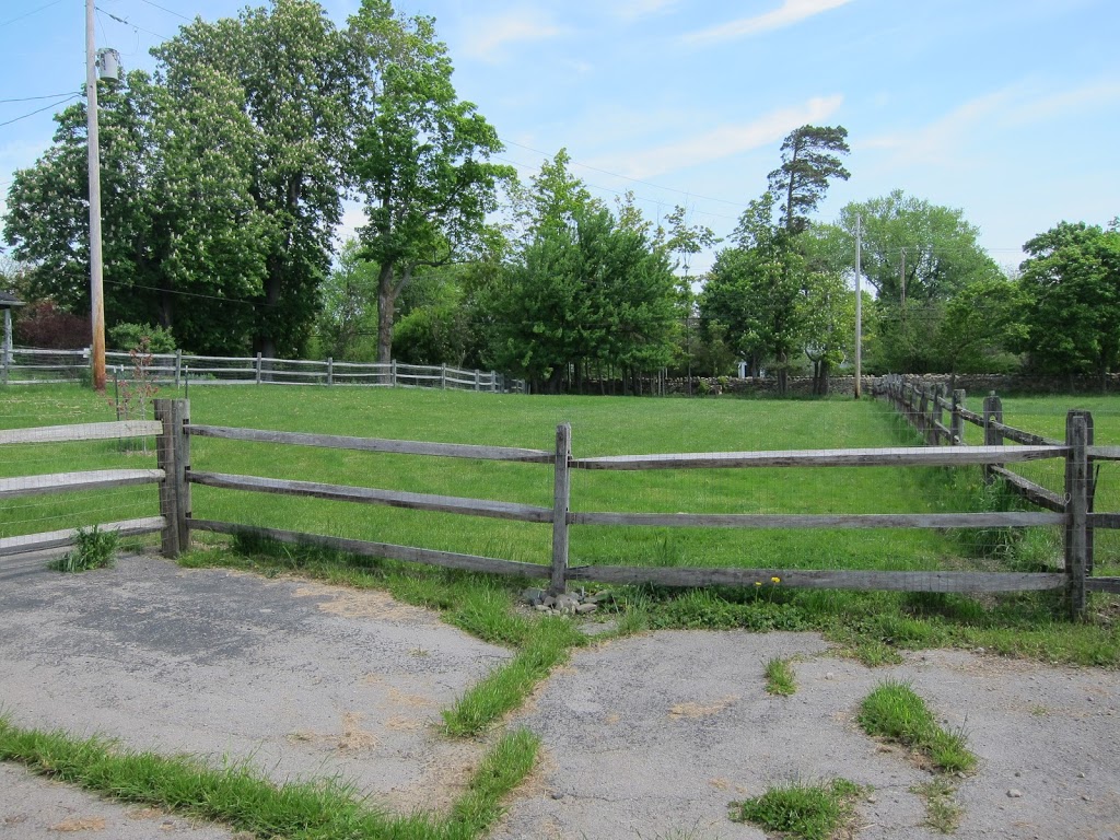 Knox Farm Dog Park | 437 Buffalo Rd, East Aurora, NY 14052, USA | Phone: (716) 652-0786