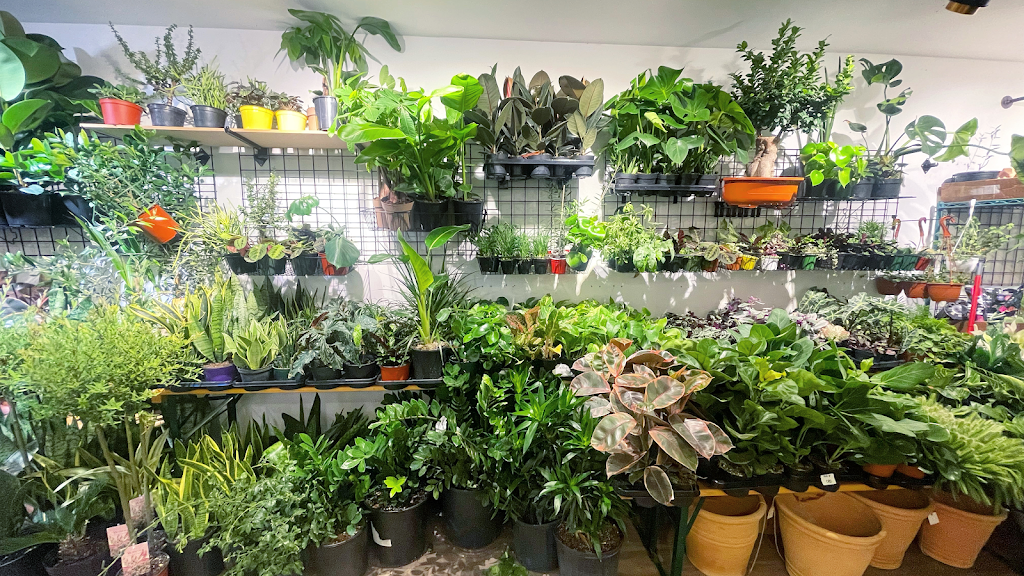 Promise Supply Plants at stackt | 28 Bathurst St, Toronto, ON M5V 0C6, Canada | Phone: (647) 957-8291