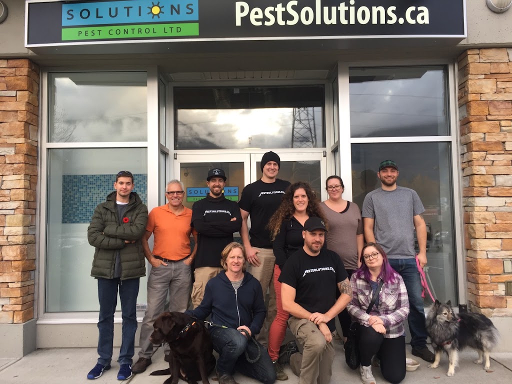 Solutions Pest Control | 2912 E 54th Ave, Vancouver, BC V5S 1Y5, Canada | Phone: (855) 858-9776